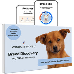 Wisdom Health kit frontal mostrando la caja y beneficios claros