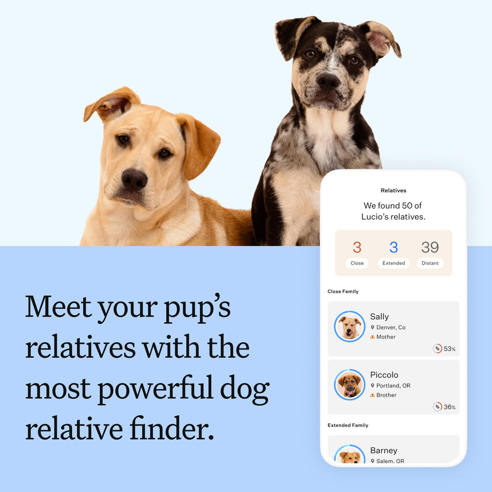 Wisdom Health perro siendo hisopado, proceso rápido y cómodo