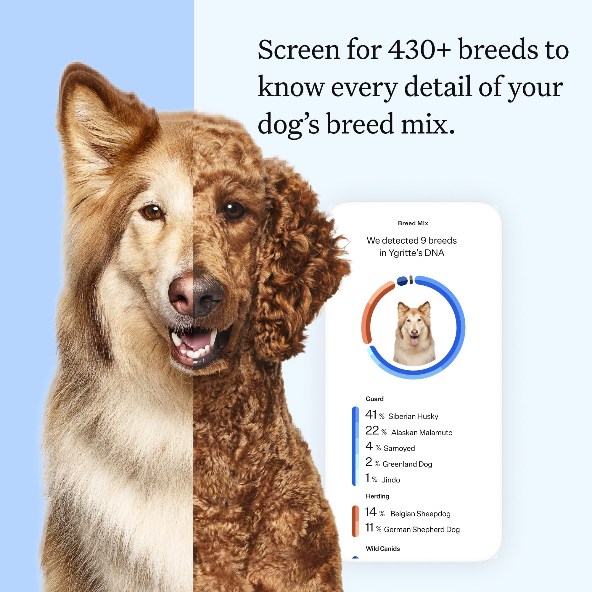 Wisdom Panel etiqueta del kit con instrucciones claras y fáciles
