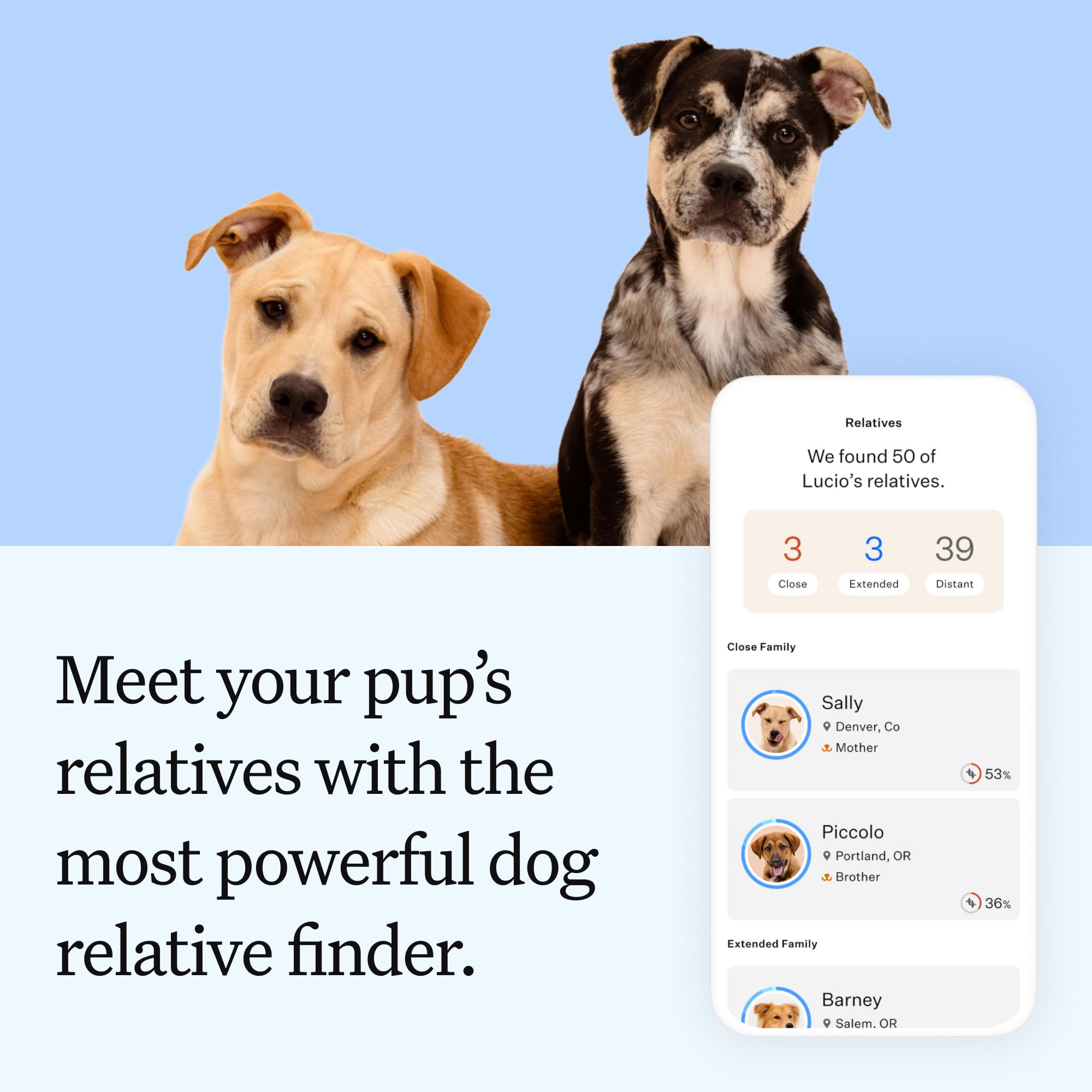 Wisdom Panel comparación de tamaño del kit para referencia doméstica