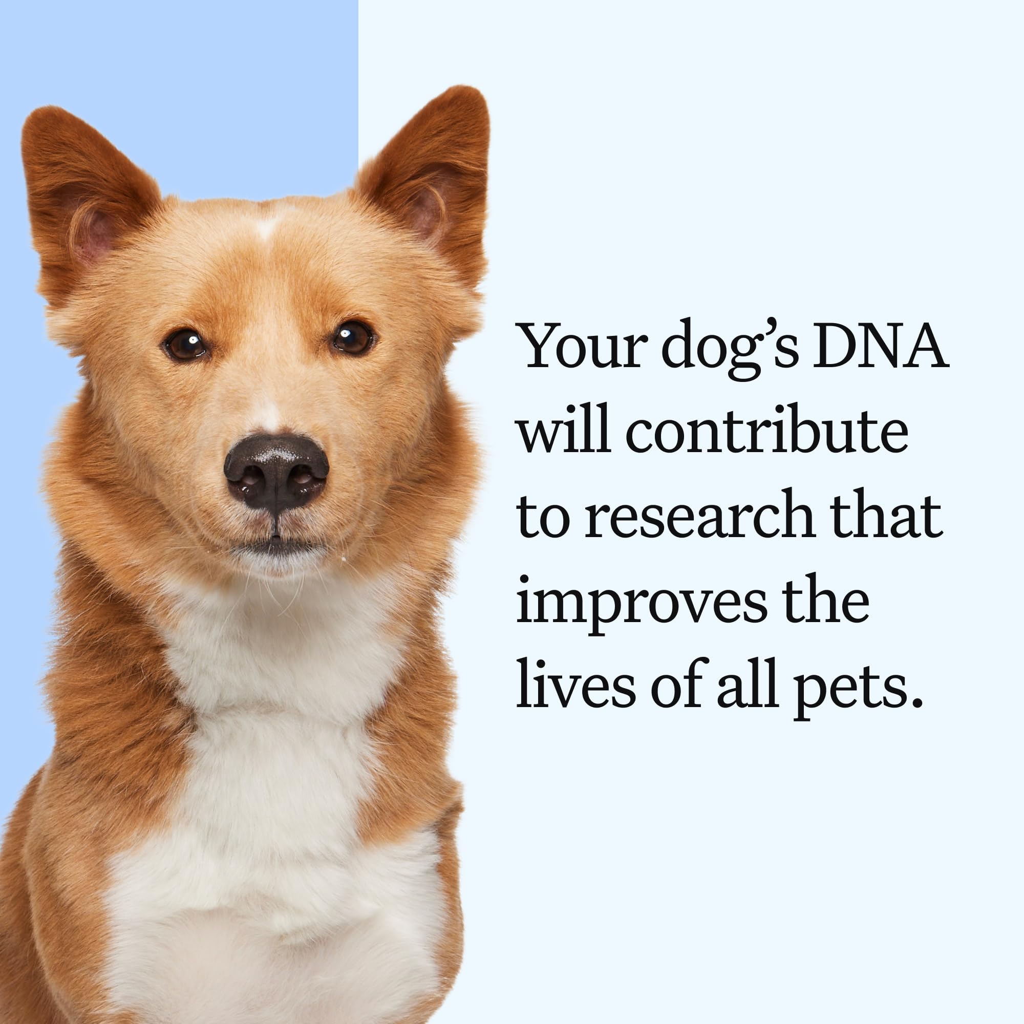 Wisdom Panel pantalla mostrando parientes y coincidencias genéticas