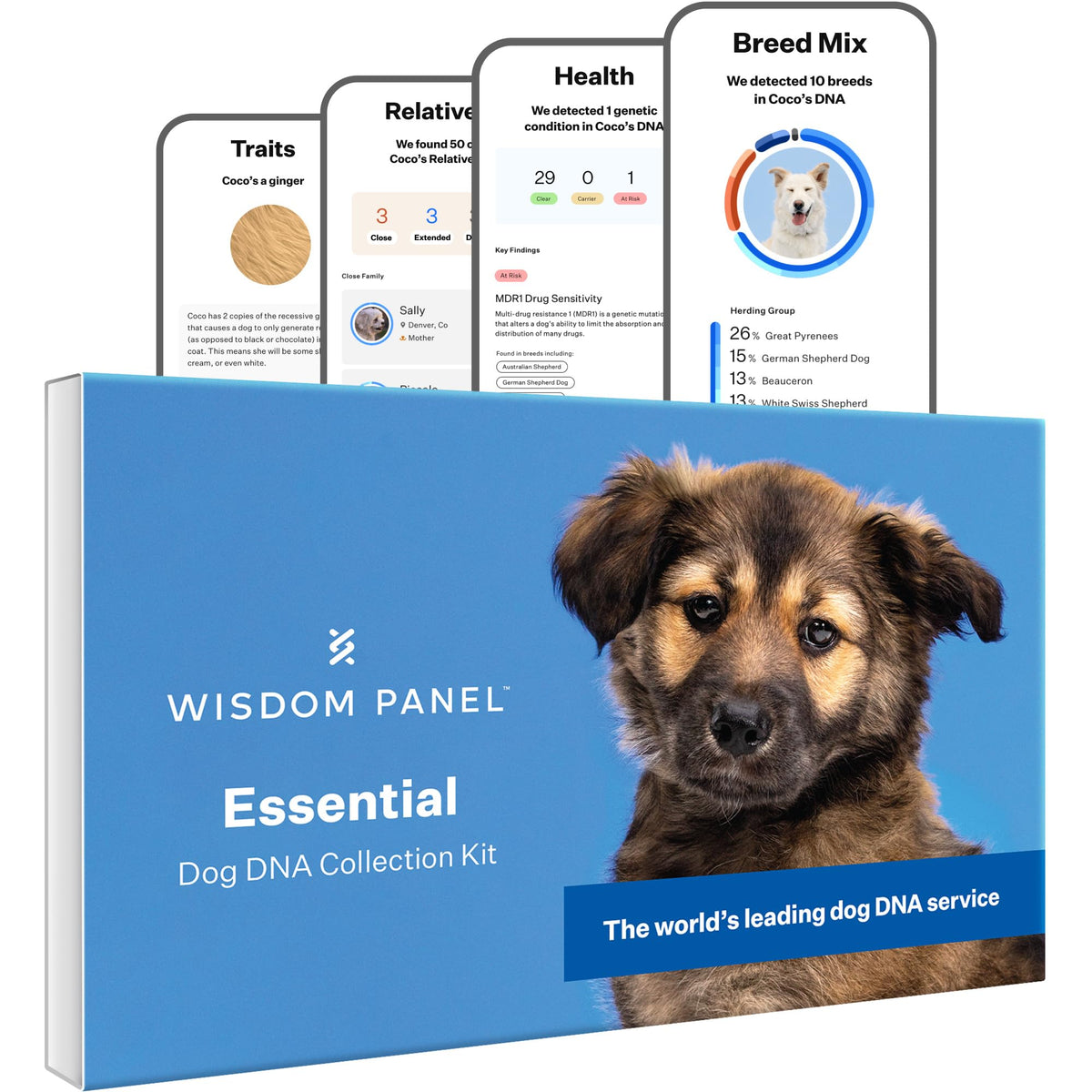 Wisdom Panel empaquetado frontal mostrando el kit y beneficios