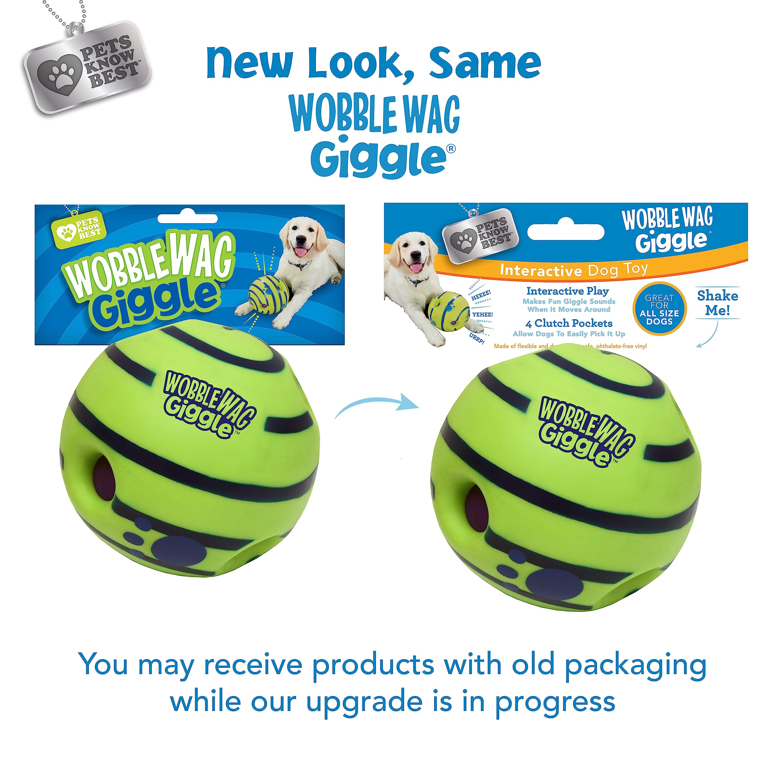 Wobble Wag Giggle uso en sala de estar para entretenimiento interior del perro