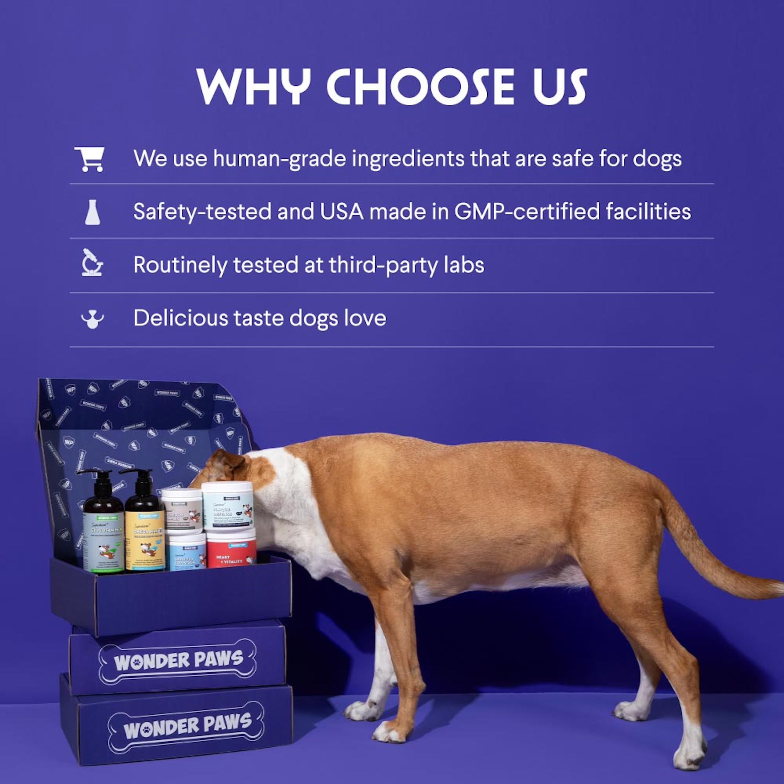 WONDER PAWS frasco junto a una mano para comparar tamaño y dosificación