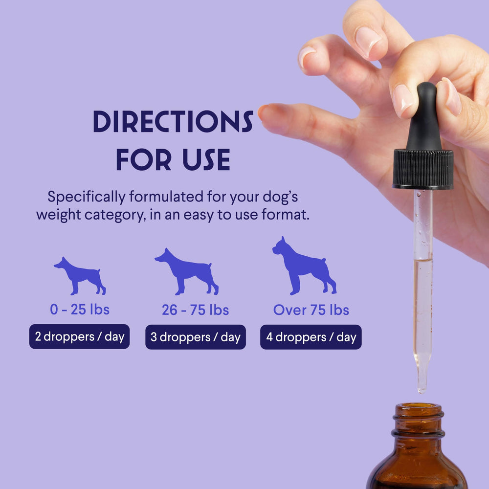 WONDER PAWS perro con pelaje brillante mostrando beneficio visible