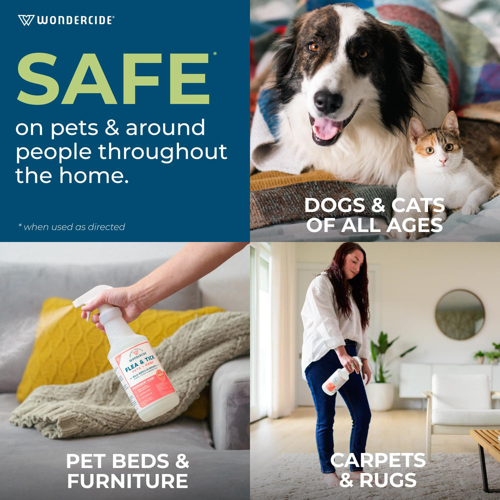 Wondercide being applied to a dog’s fur for flea and tick control