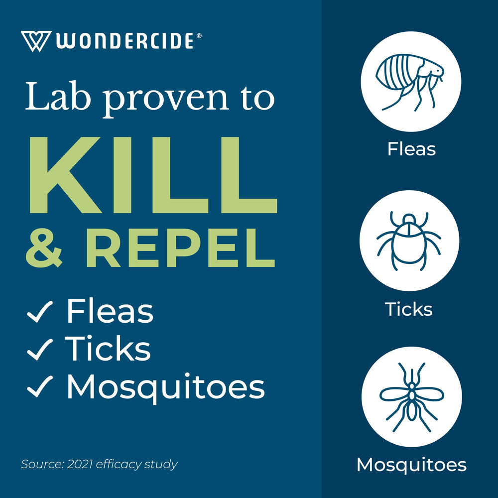 Wondercide bottle spray in hand demonstrating easy application for pets