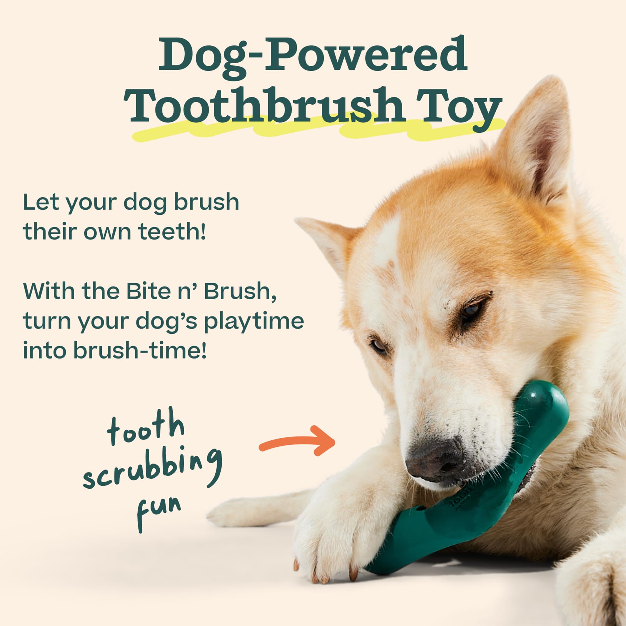 WOOF comparación de tamaños del Bite n' Brush para elegir mejor ajuste