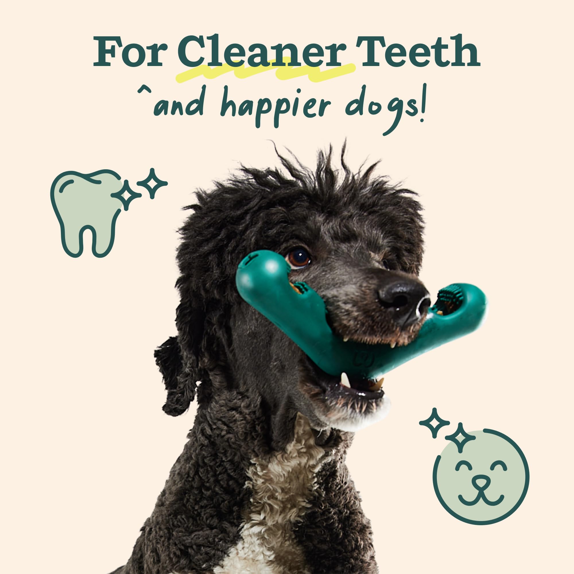 WOOF vista superior de repuestos en V optimizados para limpiar dientes