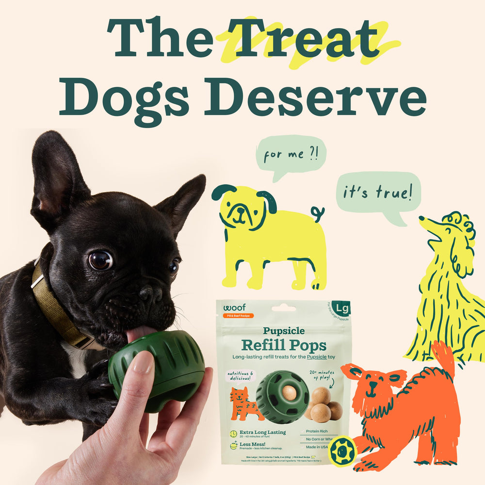 WOOF perro disfrutando una Pop mostrando entretenimiento prolongado