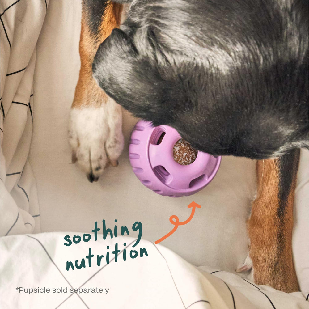 WOOF etiqueta con ingredientes clave destacando calidad estadounidense