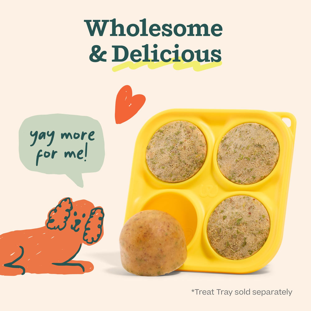 WOOF recarga Pupsicle junto a una regla para comparar tamaños y porciones