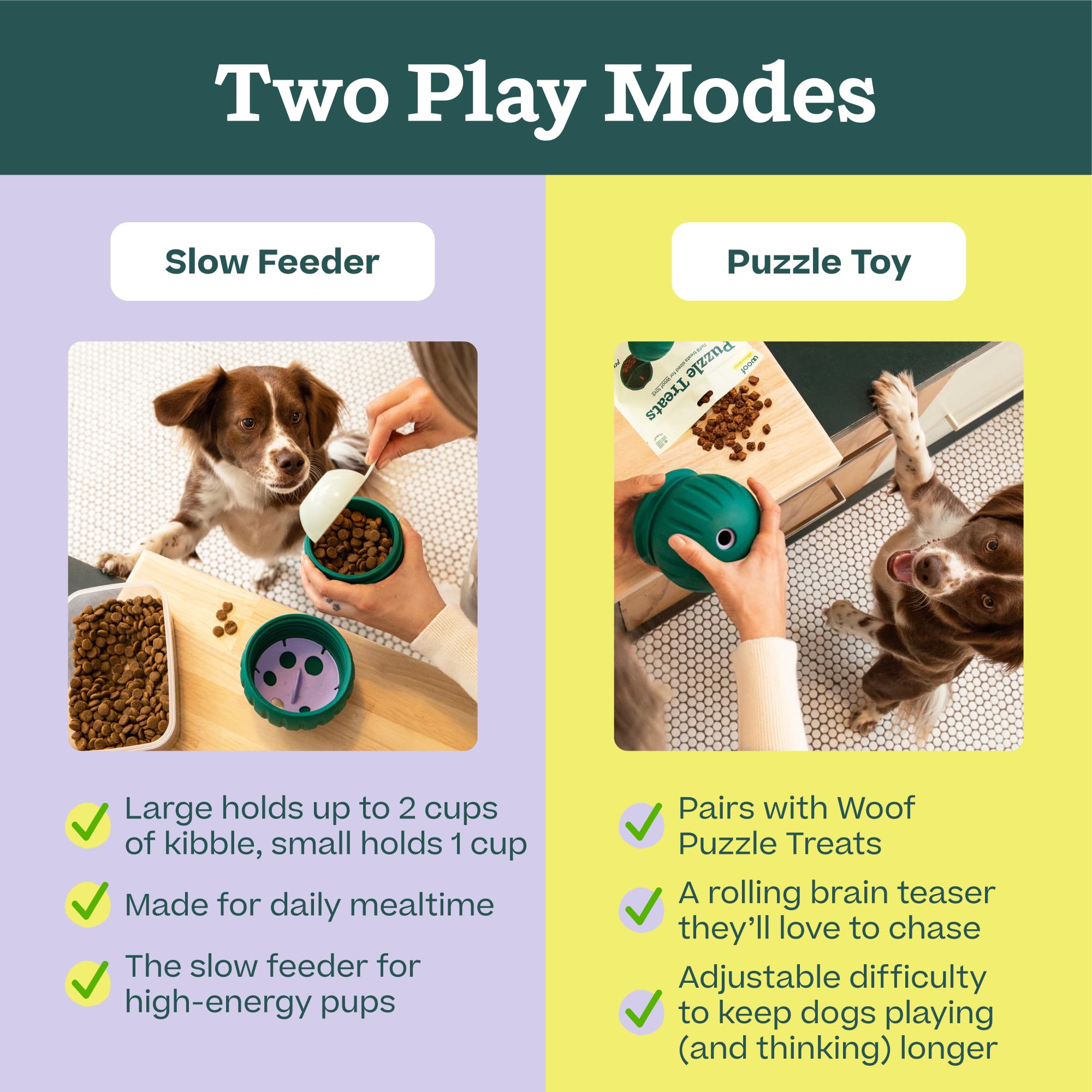 Detalle del dial ajustable WOOF Walkabout para regular premios