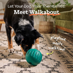 WOOF Walkabout junto a regla para comparar tamaño y escala