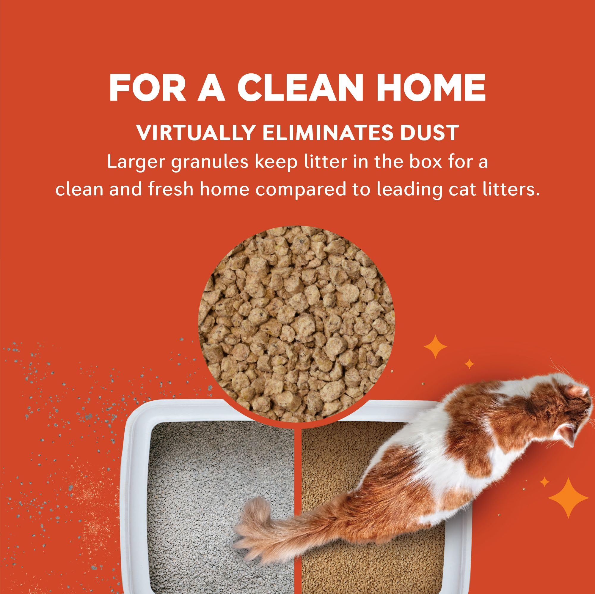 World's Best Cat Litter gato usando la bandeja con menor polvo y control de olor