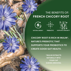 Worldwide Botanicals taza con mezcla de café y chicoria reduciendo acidez y cafeína