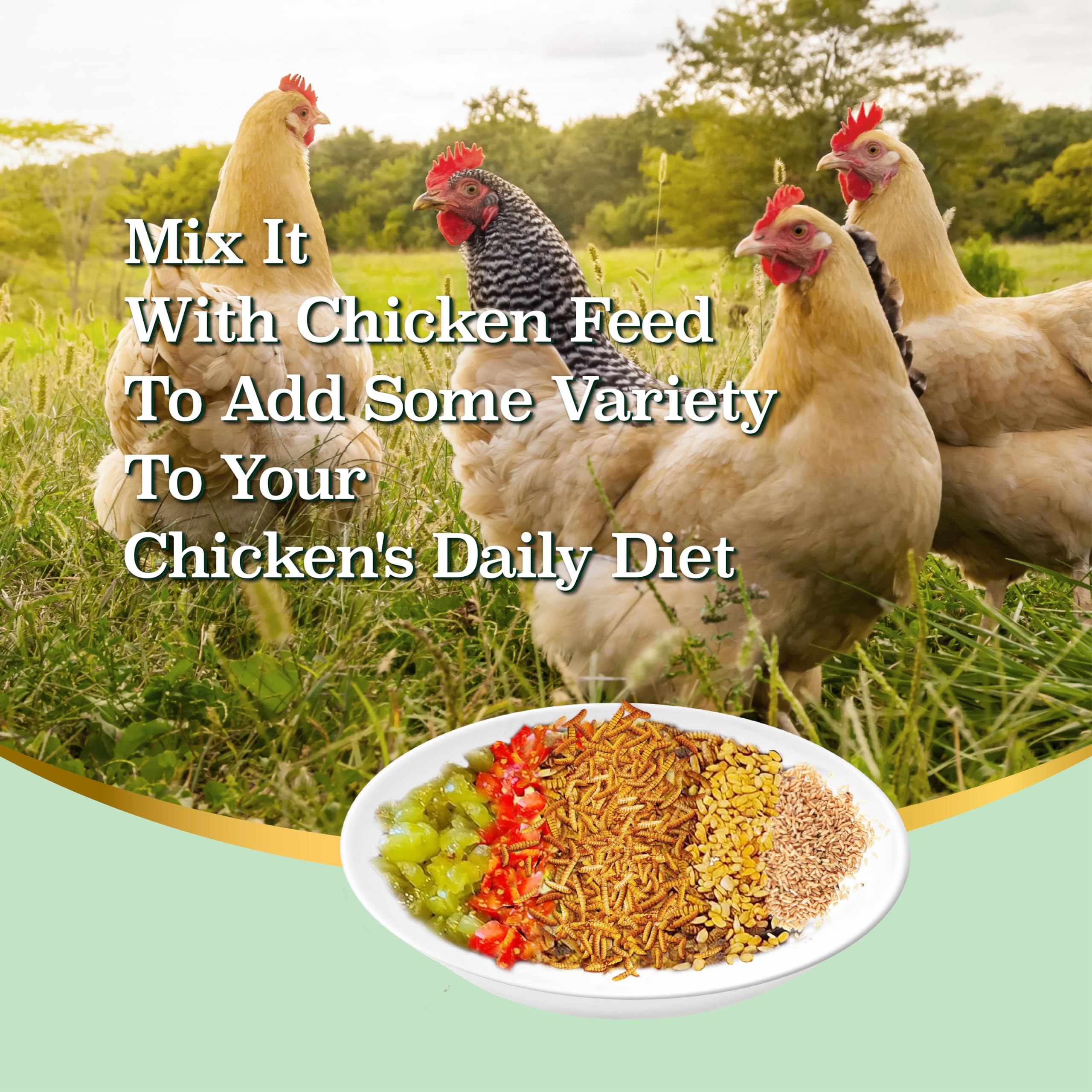 WORMSKING etiqueta con datos nutricionales destacando proteína y calcio para dietas animales