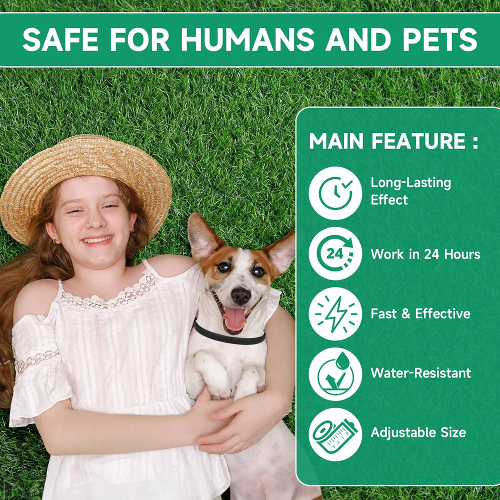 Woyamay collar resistente al agua demostrado tras baño para protección continua