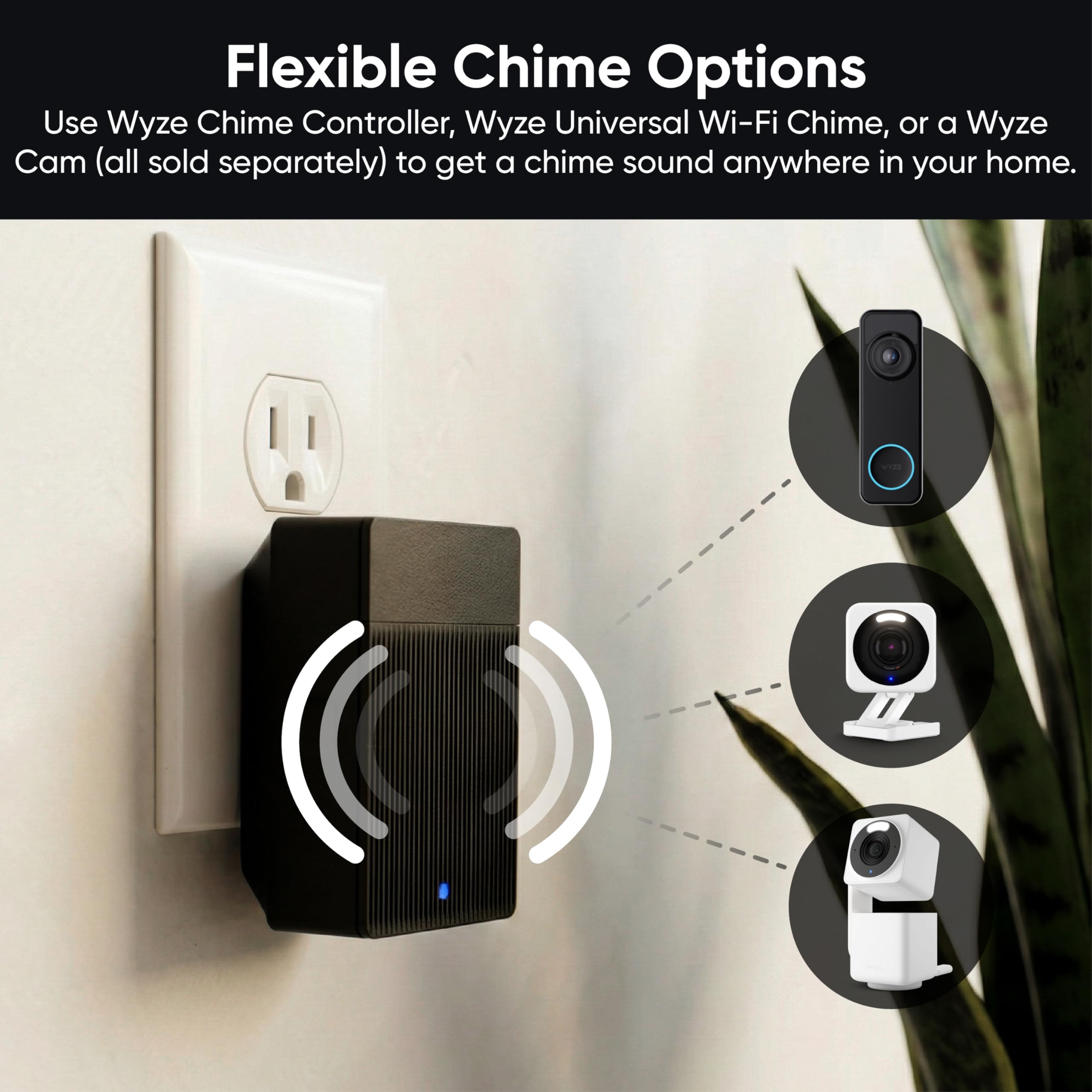 Wyze componentes y accesorios incluidos en la caja
