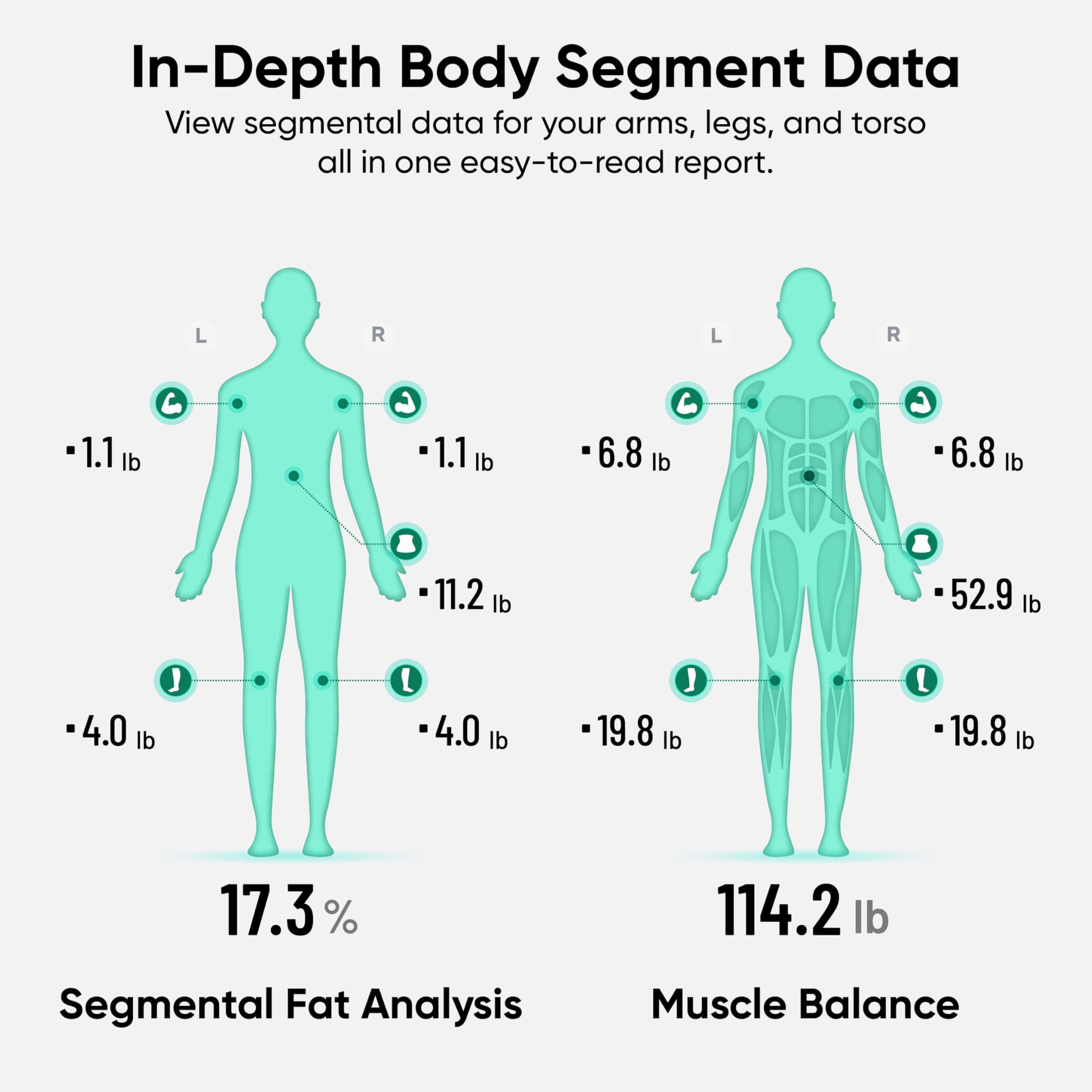 Wyze SCALE pantalla con informe segmental, facilita seguimiento por partes del cuerpo