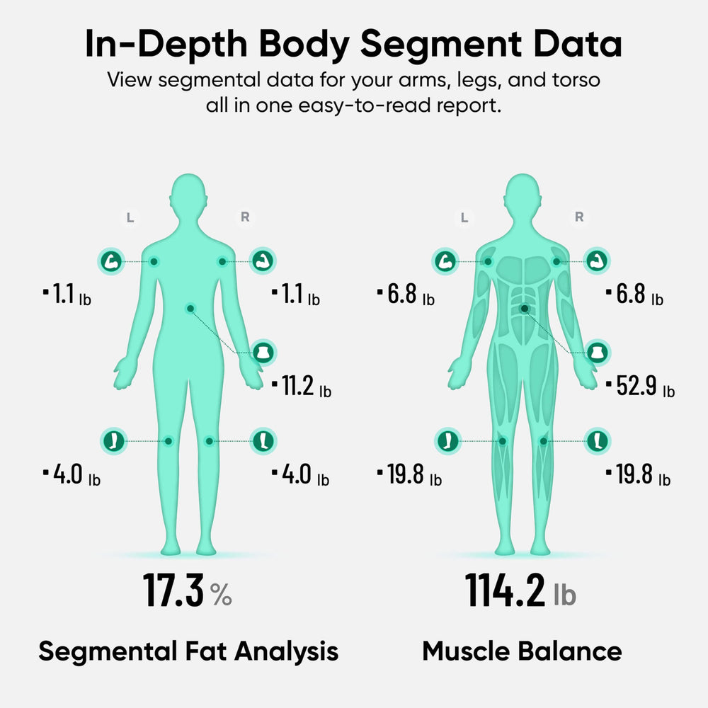 Wyze SCALE pantalla con informe segmental, facilita seguimiento por partes del cuerpo