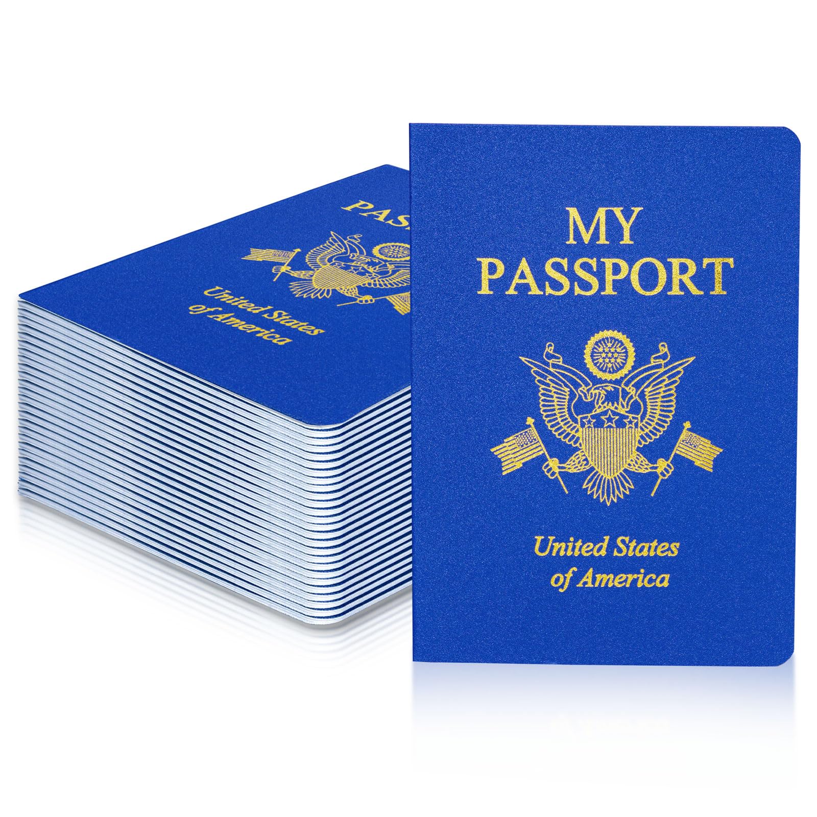 XIISVINT portada azul del pasaporte de juego, atrae atención y fomenta imaginación