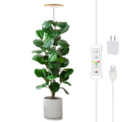 yadoker lámpara frontal con acabado bambú, elegante y funcional para interiores