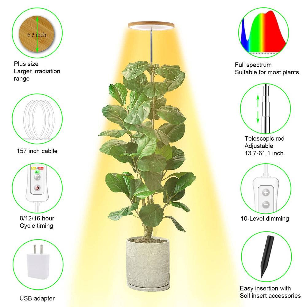 yadoker luz iluminando una planta grande en salón mejorando crecimiento