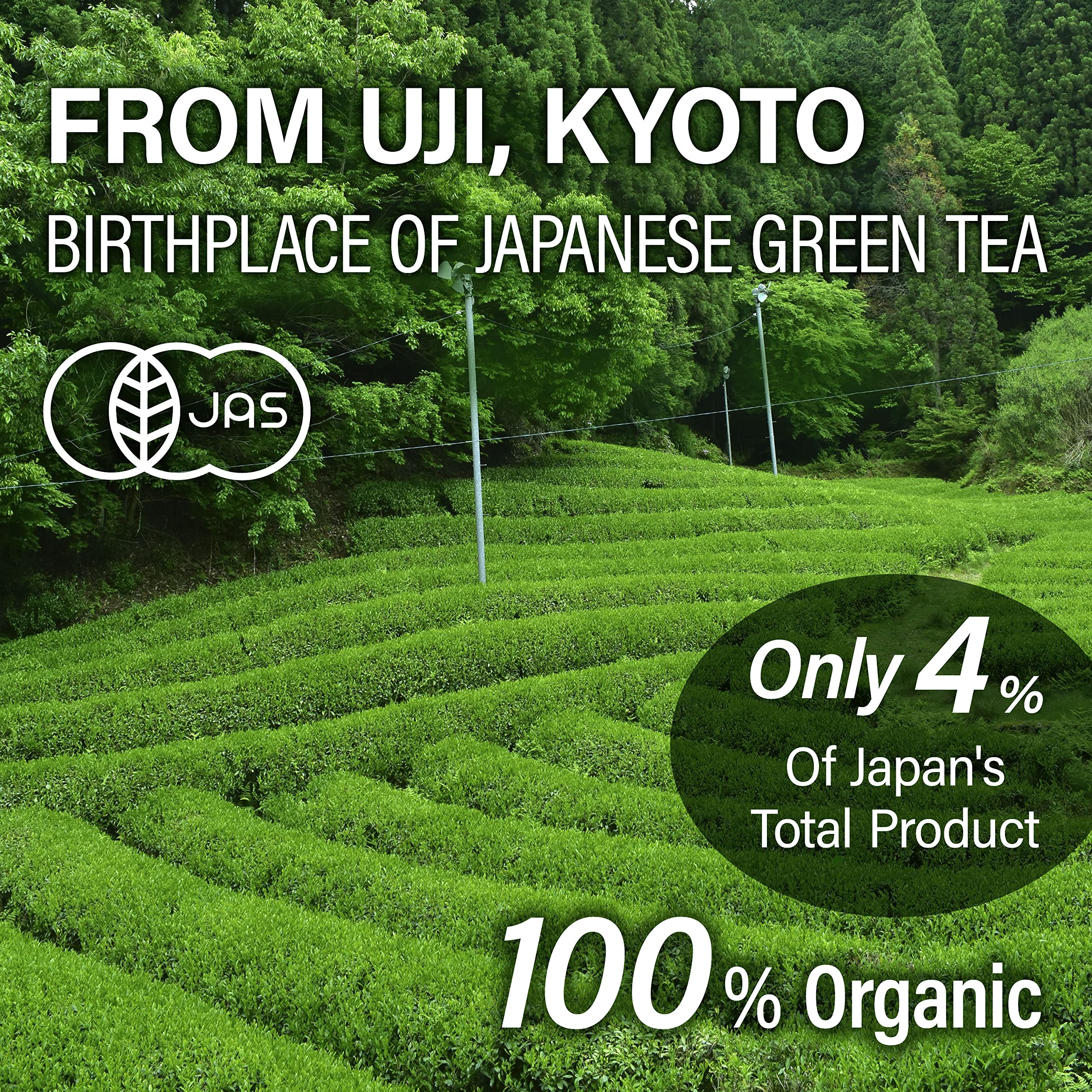 YAMASAN KYOTO UJI infusión caliente en taza destacando claridad y umami