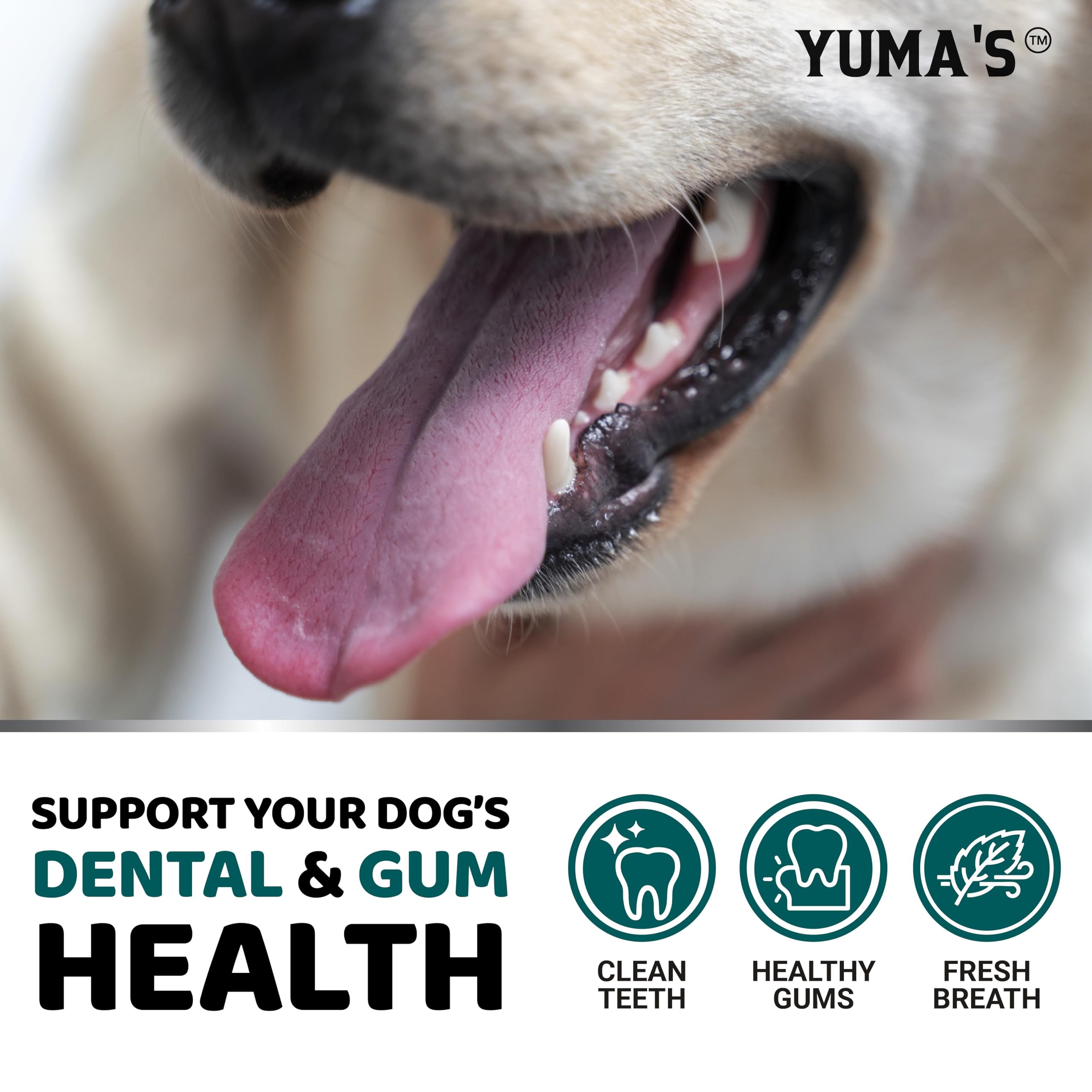 YUMA'S envase junto a un hueso para comparar tamaño