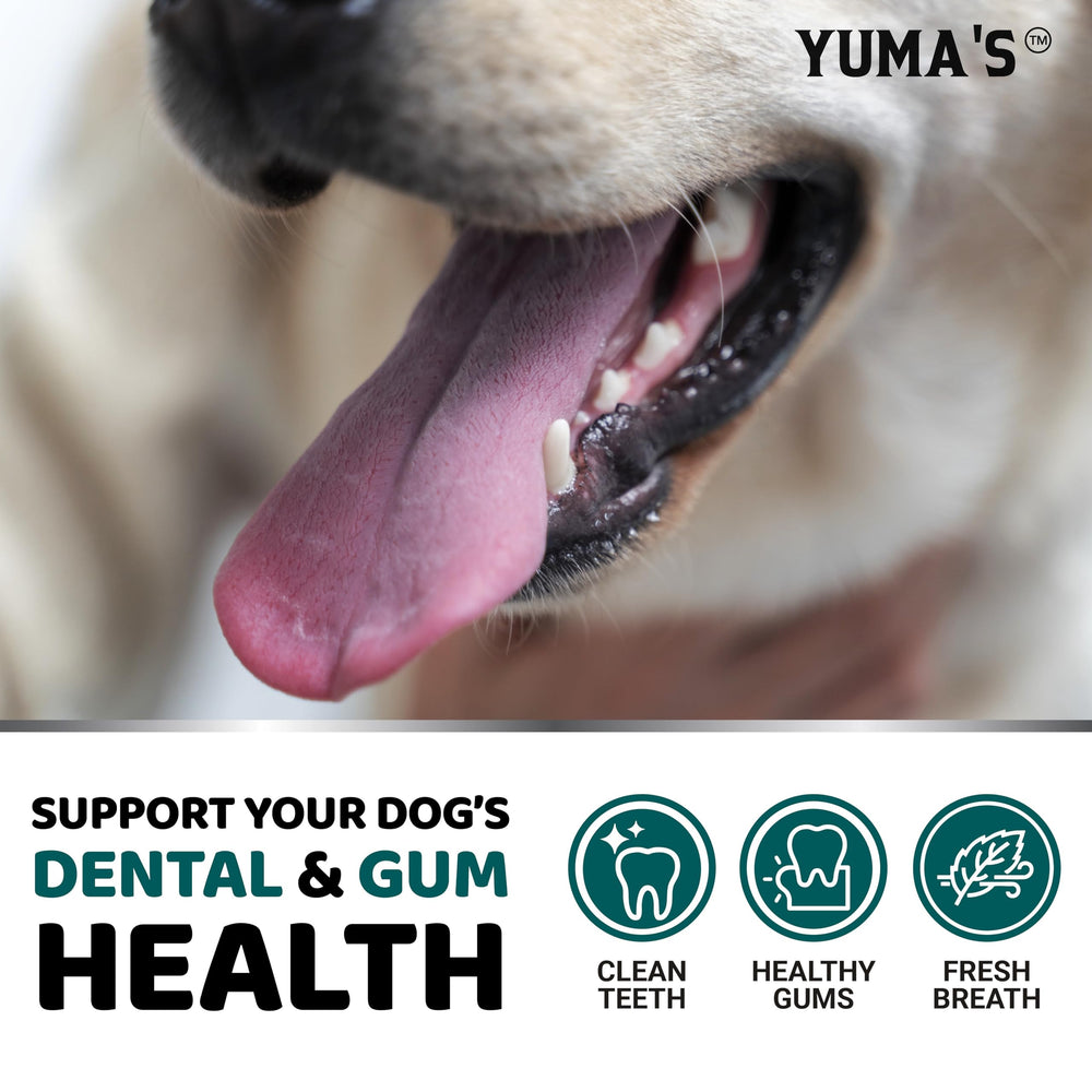 YUMA'S envase junto a un hueso para comparar tamaño