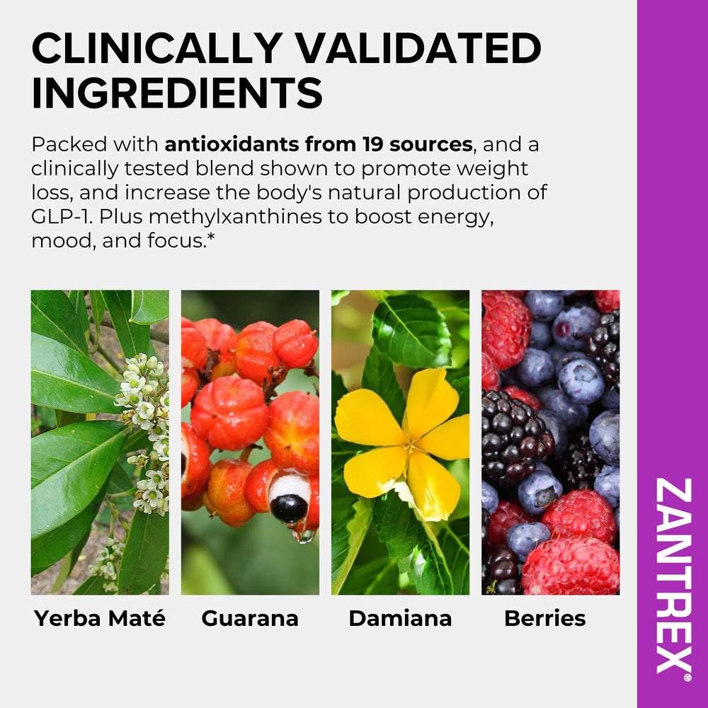 Zantrex ingredientes naturales como yerba mate y café que estimulan energía