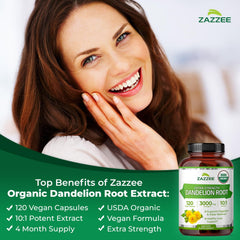 Zazzee polvo de extracto 10:1 textura concentrada y color natural