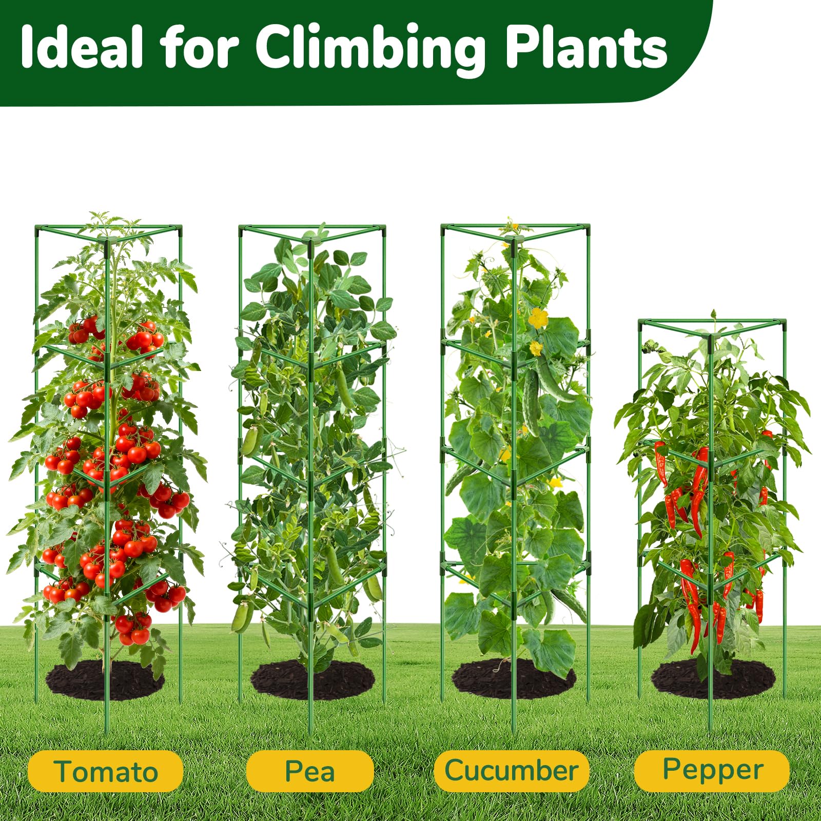 ZeeDix etiqueta y manual con instrucciones claras para instalación