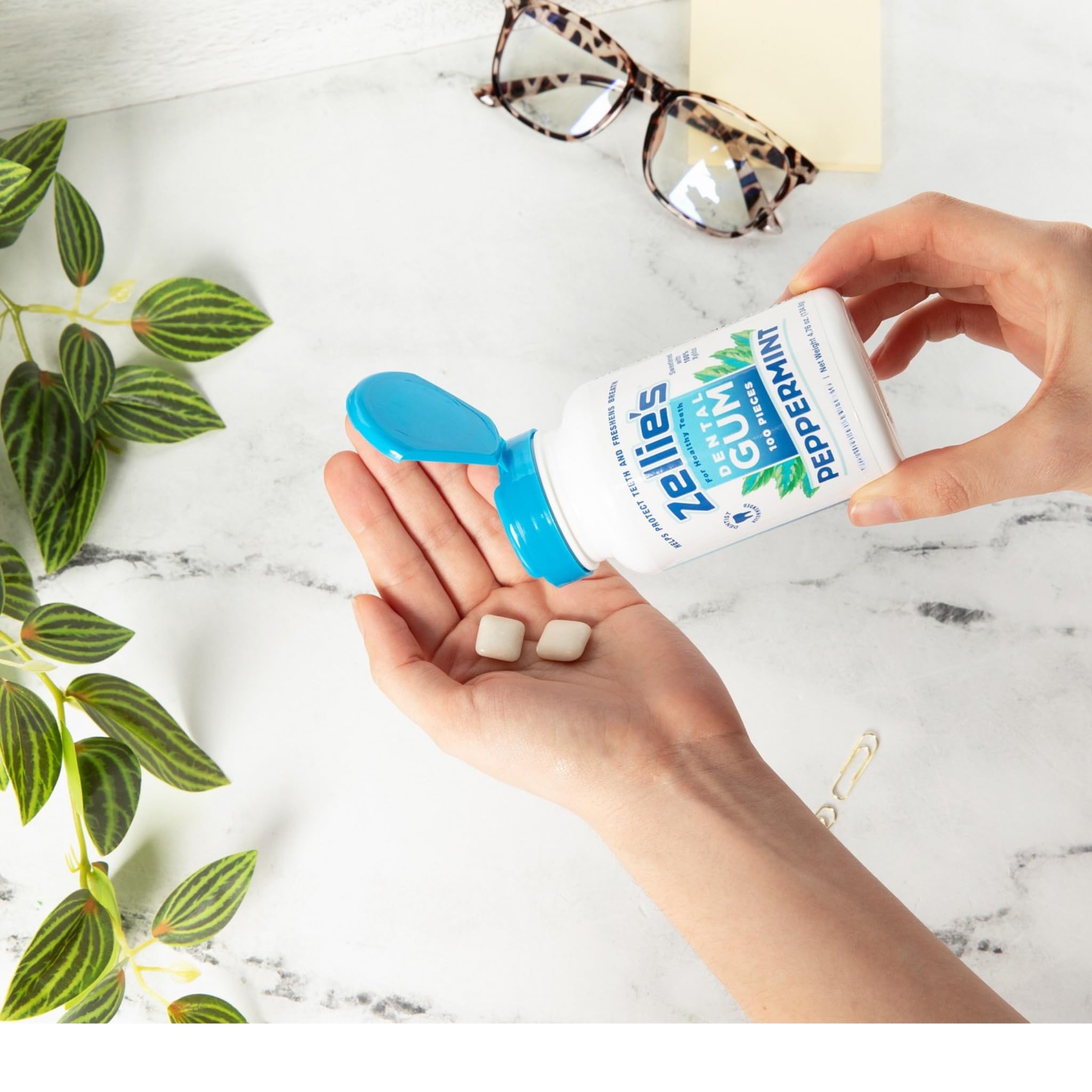 Zellie's chicle en mano para comparar tamaño y facilidad de transporte