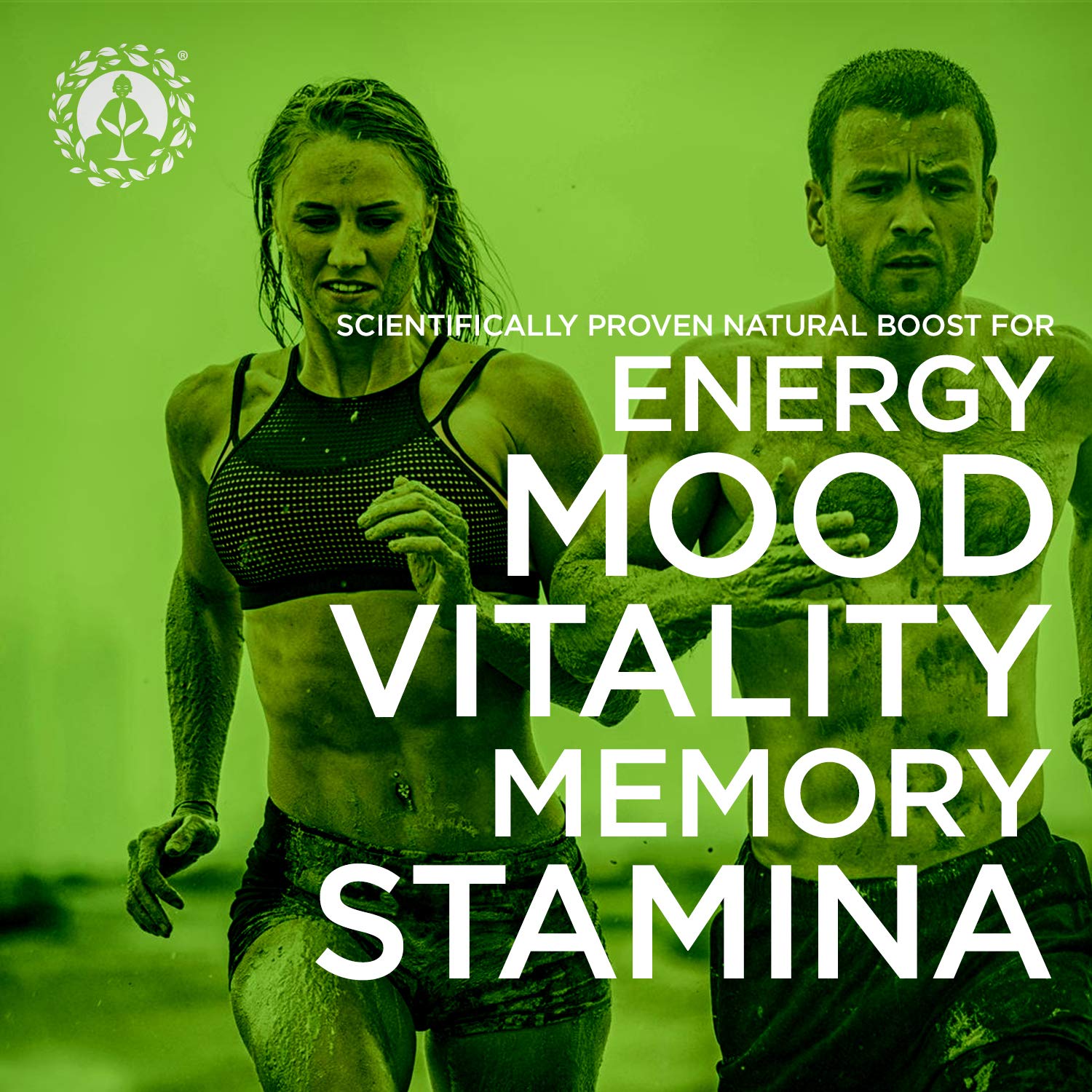 Zen Spirit maca mezclada en smoothie cremoso, energía vegetal natural