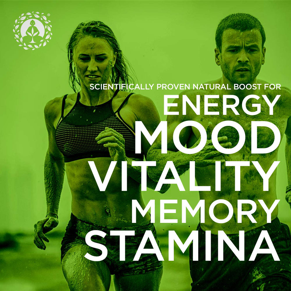 Zen Spirit maca mezclada en smoothie cremoso, energía vegetal natural