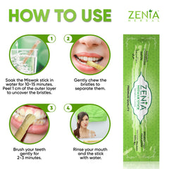 Zenia miswak comparación de tamaño junto a regla, práctico para viajes