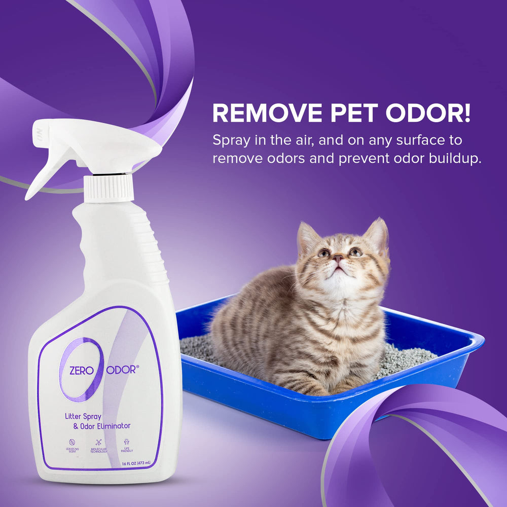 Zero Odor en cocina demostrando ambiente libre de olor a caja