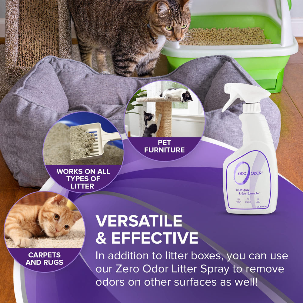 Zero Odor en uso rociando arena tras limpieza para neutralizar olores