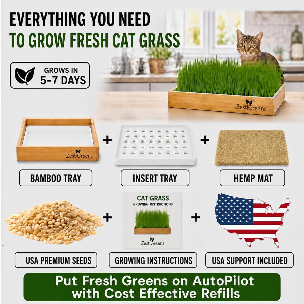 ZESTIGREENS bandeja comparada con manos para mostrar tamaño práctico y compacto