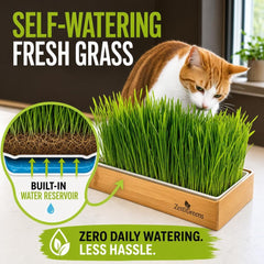 ZESTIGREENS gato comiendo pasto del kit demostrando entretener y complementar dieta