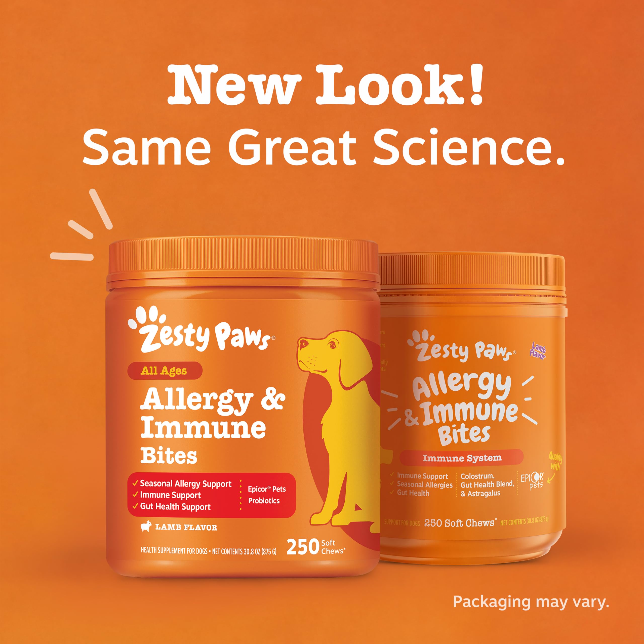 Zesty Paws escena lifestyle con perro afuera, sugiere bienestar y actividad diaria