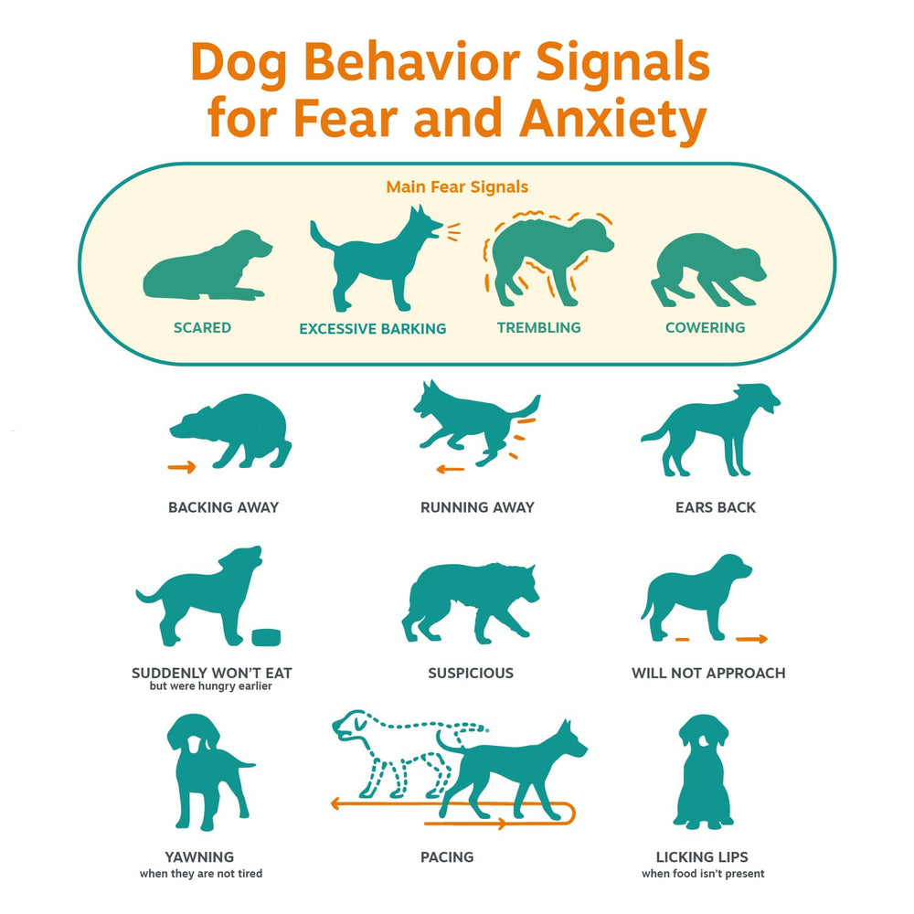 Zesty Paws etiqueta con instrucciones y dosis claras