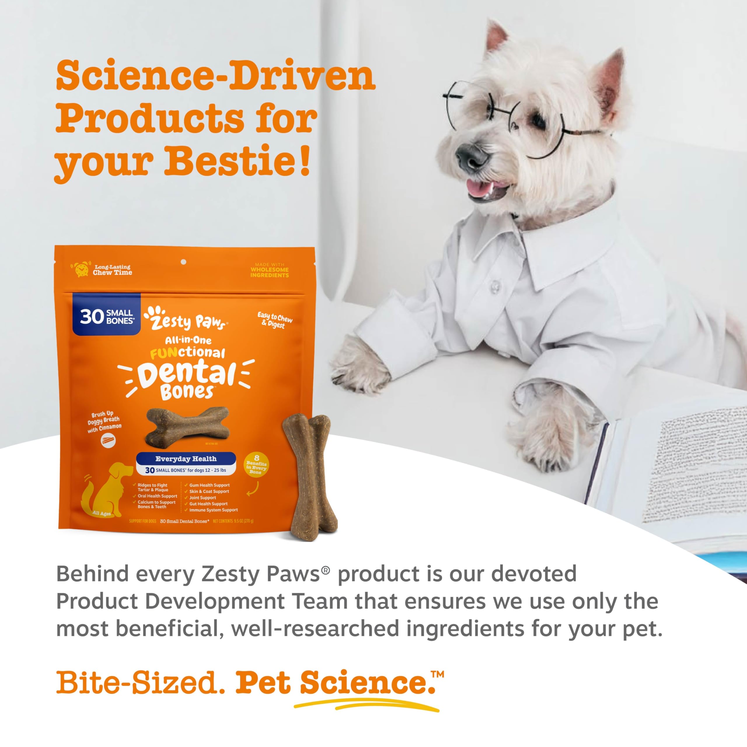 Zesty Paws perro pequeño disfrutando un hueso dental en ambiente hogar