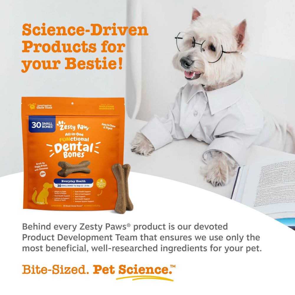 Zesty Paws perro pequeño disfrutando un hueso dental en ambiente hogar