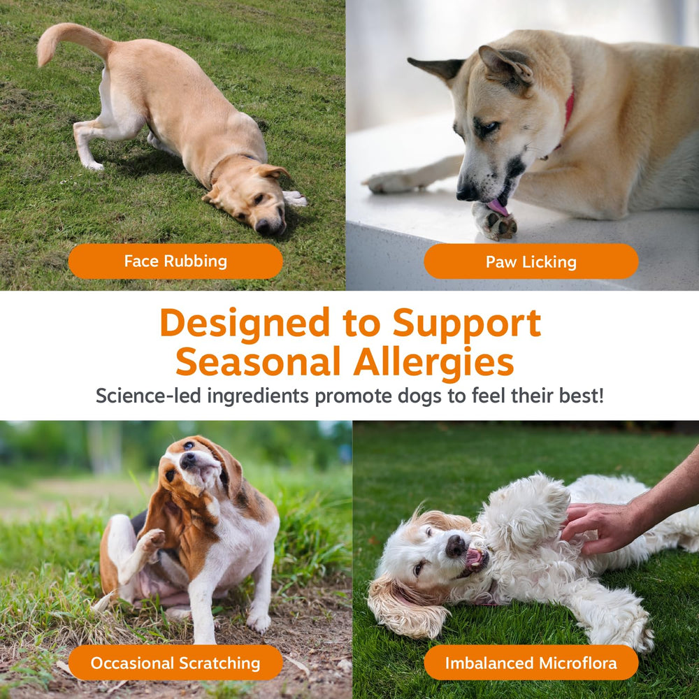 Zesty Paws etiqueta con ingredientes clave y soporte inmunitario