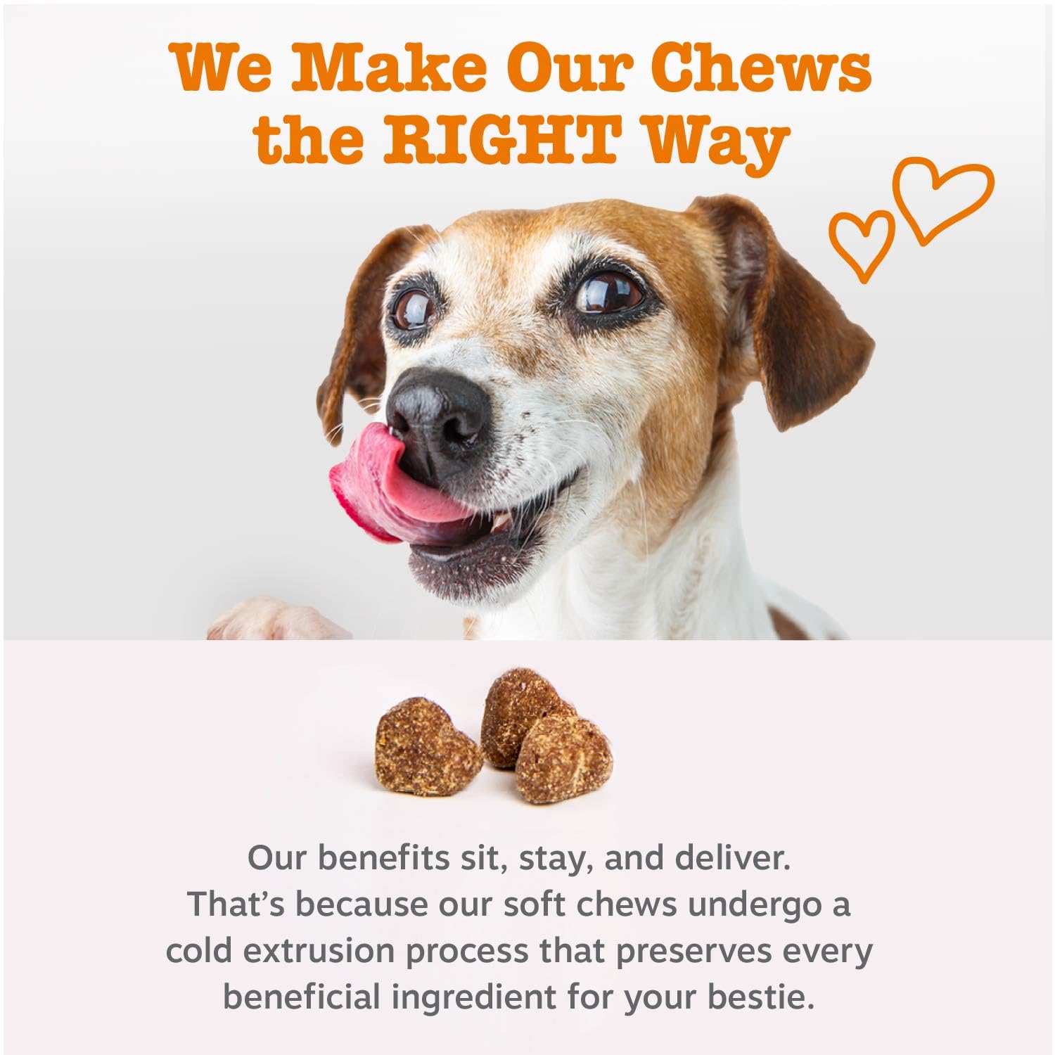 Zesty Paws etiqueta nutricional en primer plano para revisar ingredientes