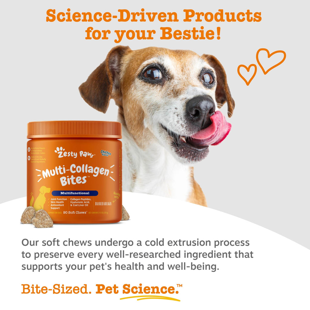 Zesty Paws etiqueta nutricional cercana que muestra ingredientes y dosificación