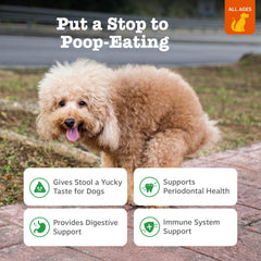 Zesty Paws etiqueta trasera con información de ingredientes y uso recomendado